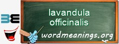 WordMeaning blackboard for lavandula officinalis